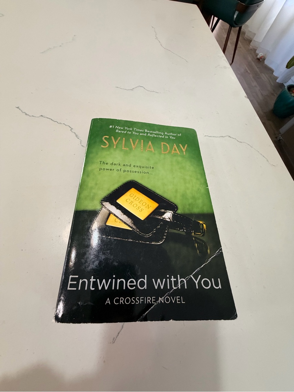 Entwined With You - Paperback Novel by Sylvia Day